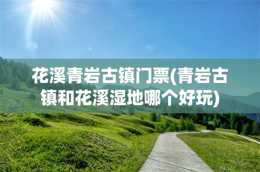 花溪青岩古镇门票(青岩古镇和花溪湿地哪个好玩)