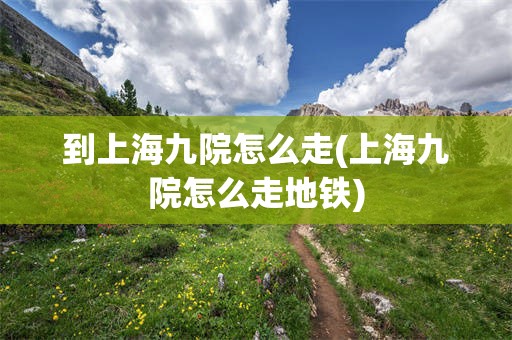 到上海九院怎么走(上海九院怎么走地铁)