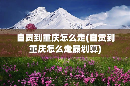 自贡到重庆怎么走(自贡到重庆怎么走最划算)