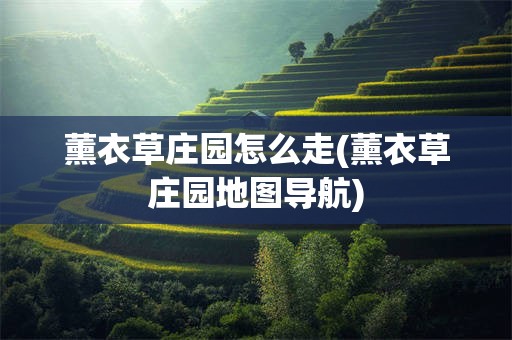 薰衣草庄园怎么走(薰衣草庄园地图导航)