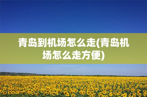 青岛到机场怎么走(青岛机场怎么走方便)