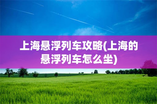 上海悬浮列车攻略(上海的悬浮列车怎么坐)