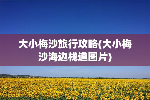 大小梅沙旅行攻略(大小梅沙海边栈道图片)