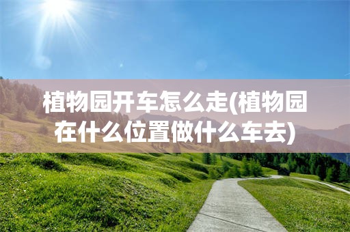 植物园开车怎么走(植物园在什么位置做什么车去)