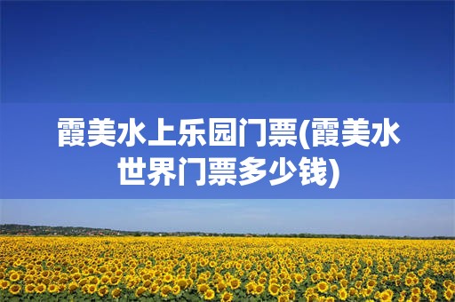 霞美水上乐园门票(霞美水世界门票多少钱)