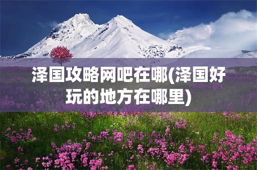 泽国攻略网吧在哪(泽国好玩的地方在哪里)