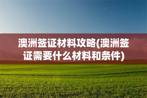 澳洲签证材料攻略(澳洲签证需要什么材料和条件)