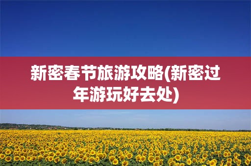 新密春节旅游攻略(新密过年游玩好去处)