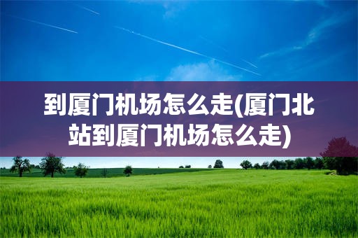 到厦门机场怎么走(厦门北站到厦门机场怎么走)