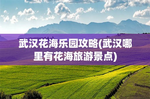 武汉花海乐园攻略(武汉哪里有花海旅游景点)