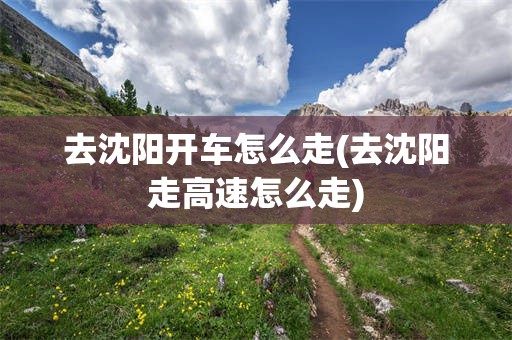 去沈阳开车怎么走(去沈阳走高速怎么走)
