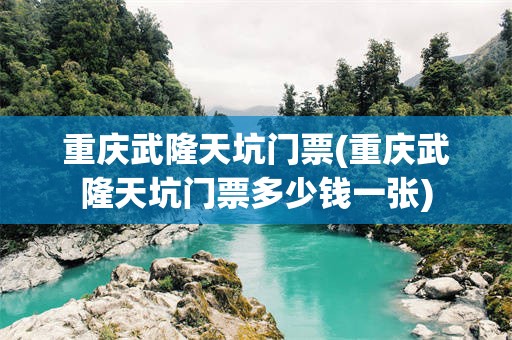 重庆武隆天坑门票(重庆武隆天坑门票多少钱一张)