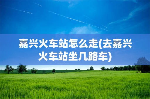 嘉兴火车站怎么走(去嘉兴火车站坐几路车)
