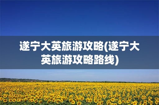 遂宁大英旅游攻略(遂宁大英旅游攻略路线)
