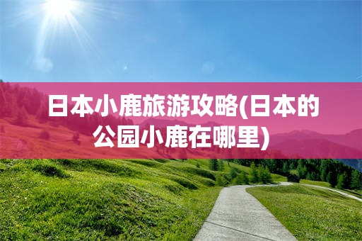 日本小鹿旅游攻略(日本的公园小鹿在哪里)
