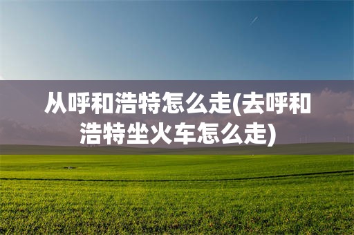 从呼和浩特怎么走(去呼和浩特坐火车怎么走)