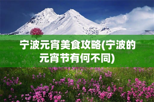 宁波元宵美食攻略(宁波的元宵节有何不同)