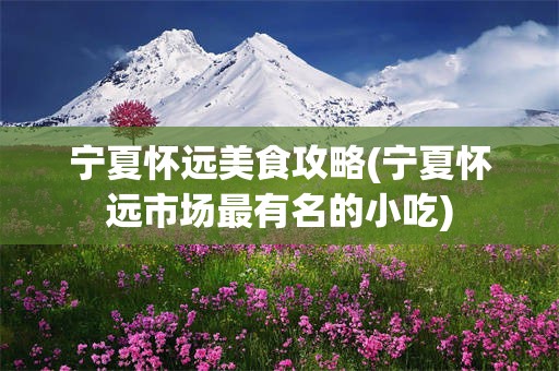 宁夏怀远美食攻略(宁夏怀远市场最有名的小吃)