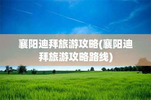 襄阳迪拜旅游攻略(襄阳迪拜旅游攻略路线)