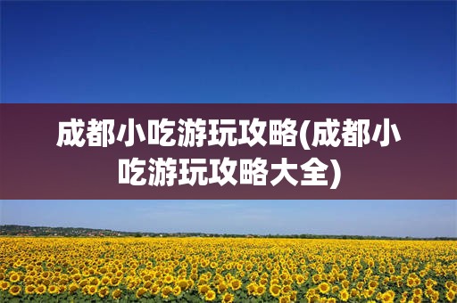 成都小吃游玩攻略(成都小吃游玩攻略大全)