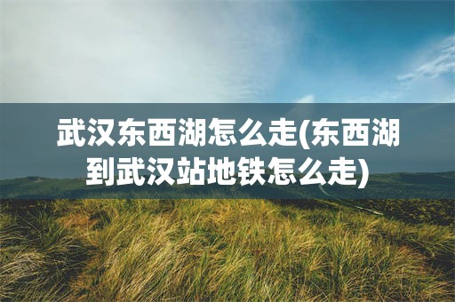 武汉东西湖怎么走(东西湖到武汉站地铁怎么走)