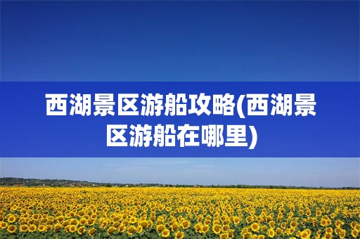 西湖景区游船攻略(西湖景区游船在哪里)