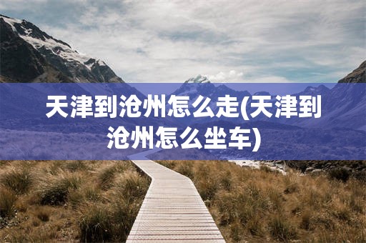 天津到沧州怎么走(天津到沧州怎么坐车)