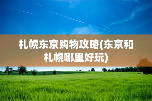 札幌东京购物攻略(东京和札幌哪里好玩)