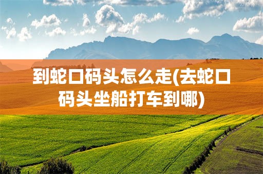 到蛇口码头怎么走(去蛇口码头坐船打车到哪)