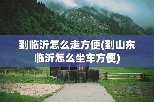 到临沂怎么走方便(到山东临沂怎么坐车方便)