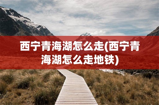 西宁青海湖怎么走(西宁青海湖怎么走地铁)