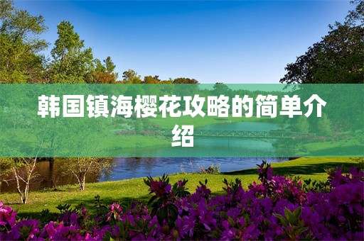 韩国镇海樱花攻略的简单介绍