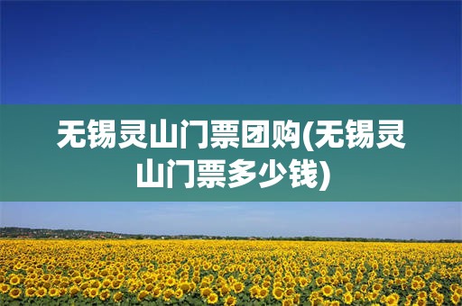 无锡灵山门票团购(无锡灵山门票多少钱)