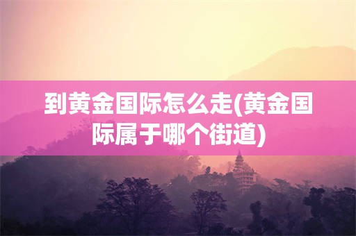 到黄金国际怎么走(黄金国际属于哪个街道)