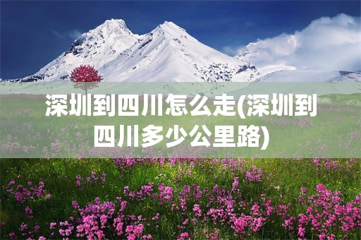 深圳到四川怎么走(深圳到四川多少公里路)