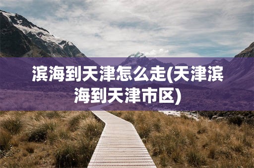 滨海到天津怎么走(天津滨海到天津市区)