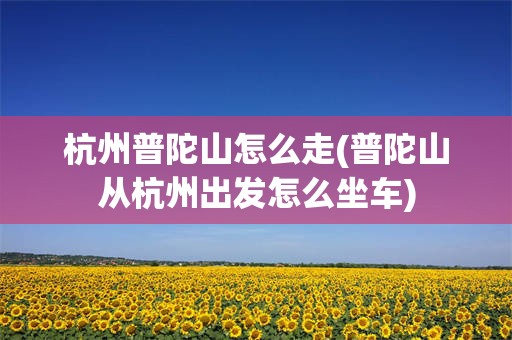 杭州普陀山怎么走(普陀山从杭州出发怎么坐车)