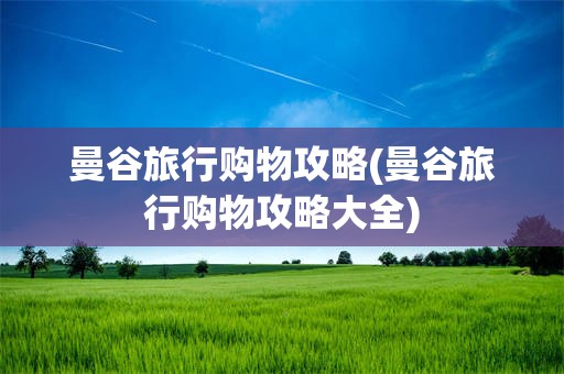 曼谷旅行购物攻略(曼谷旅行购物攻略大全)