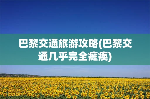巴黎交通旅游攻略(巴黎交通几乎完全瘫痪)