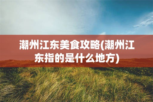 潮州江东美食攻略(潮州江东指的是什么地方)