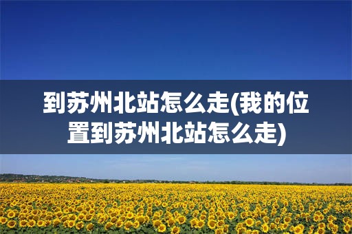 到苏州北站怎么走(我的位置到苏州北站怎么走)