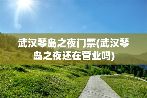 武汉琴岛之夜门票(武汉琴岛之夜还在营业吗)