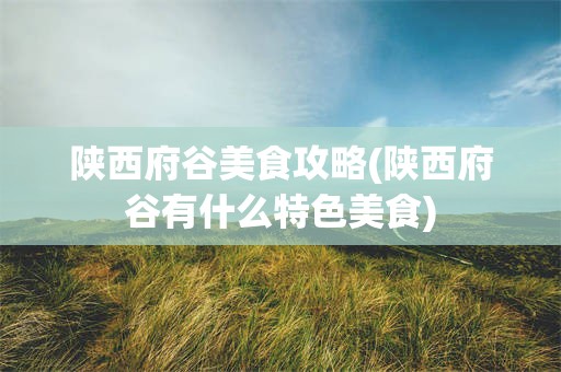 陕西府谷美食攻略(陕西府谷有什么特色美食)