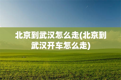 北京到武汉怎么走(北京到武汉开车怎么走)