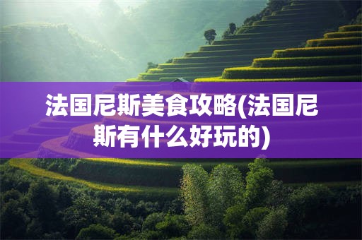 法国尼斯美食攻略(法国尼斯有什么好玩的)