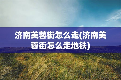 济南芙蓉街怎么走(济南芙蓉街怎么走地铁)