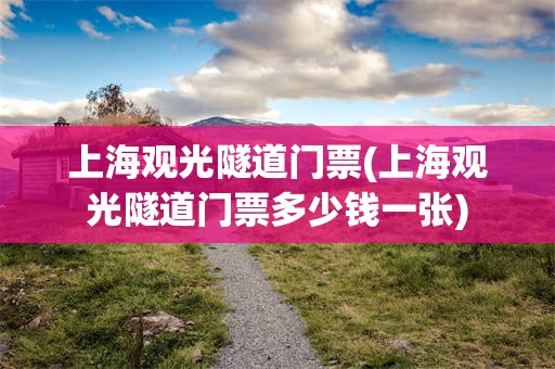 上海观光隧道门票(上海观光隧道门票多少钱一张)