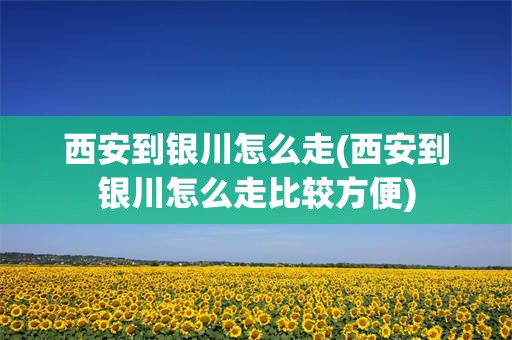 西安到银川怎么走(西安到银川怎么走比较方便)
