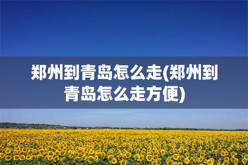 郑州到青岛怎么走(郑州到青岛怎么走方便)
