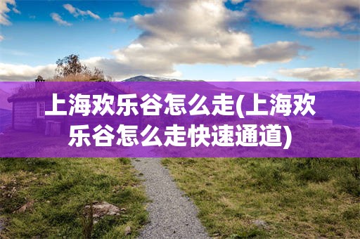上海欢乐谷怎么走(上海欢乐谷怎么走快速通道)